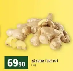 Terno ZÁZVOR ČERSTVÝ nabídka