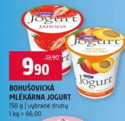 Terno BOHUŠOVICKÁ MLÉKÁRNA JOGURT nabídka