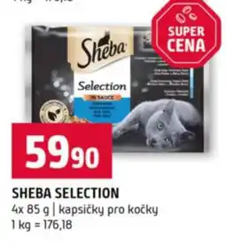 Terno SHEBA SELECTION nabídka