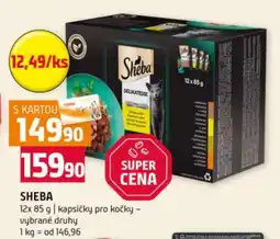 Terno Sheba nabídka