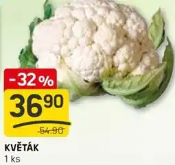 Flop Květák nabídka