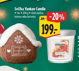 Albert Svíčka Yankee Candle 1 ks nabídka