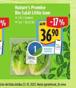 Albert Bio salát little gem nabídka