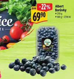 Albert Borůvky nabídka