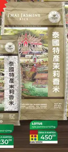 Tamda Foods LOTUS rýže jasmínová 9,07kg nabídka