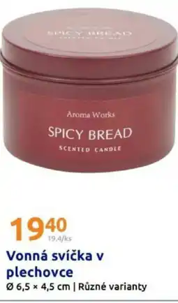 Action Vonná svíčka v plechovce nabídka