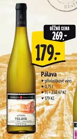 Albert Pálava nabídka