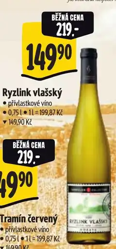 Albert Ryzlink vlašský nabídka