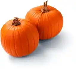 Billa Dýně mexická 1 ks nabídka