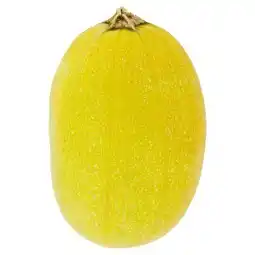 Billa Dýně špagetová 1 kg nabídka