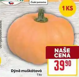 Billa Dýně muškátová 1ks nabídka
