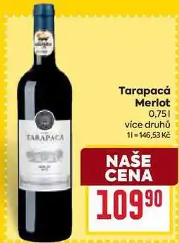 Billa Tarapacá Merlot 0,75l nabídka