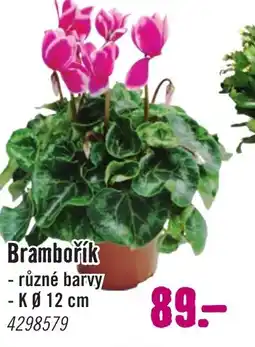 Hornbach Brambořík nabídka