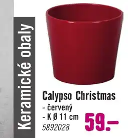 Hornbach Calypso Christmas nabídka
