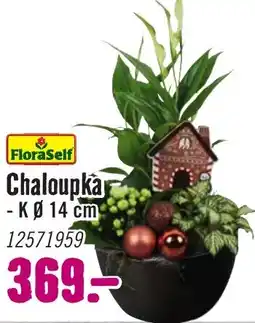 Hornbach Chaloupka nabídka