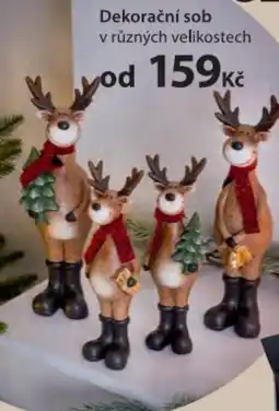 NKD Dekorační sob nabídka
