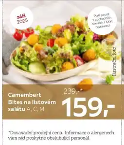 XXXLutz Camembert Bites na listovém salátu A, C, M nabídka