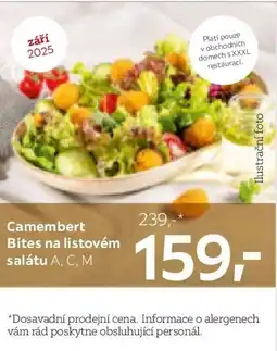 XXXLutz Camembert Bites na listovém salátu A, C, M nabídka