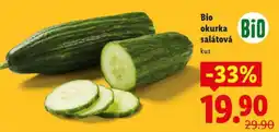 Lidl BIO OKURKA SALÁTOVÁ nabídka