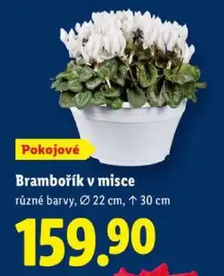 Lidl Brambořík v misce nabídka