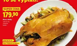 Lidl HUSA S DROBY nabídka