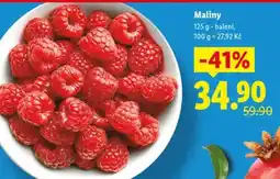 Lidl Maliny nabídka