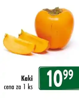Qanto Kaki nabídka