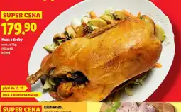 Lidl Husa a droby nabídka
