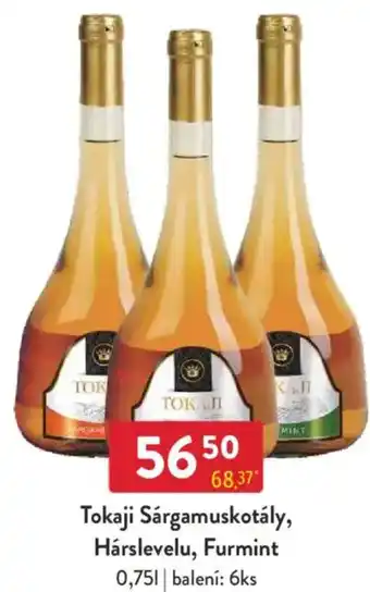 Qanto Tokaji Sárgamuskotály, Hárslevelu, Furmint nabídka