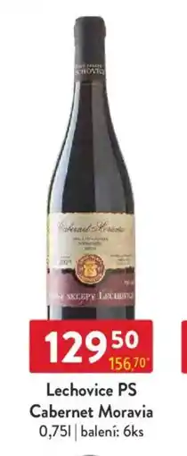 Qanto Lechovice PS Cabernet Moravia nabídka