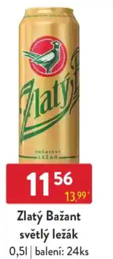 Qanto Zlatý Bažant světlý ležák nabídka