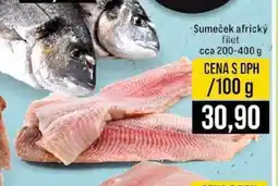 Jip Sumeček africký filet 100 g nabídka