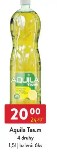Qanto Aquila Tea.m nabídka