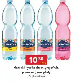 Qanto Hanácká kyselka citron, grapefruit, pomeranč, lesní plody nabídka