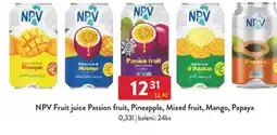 Qanto NPV Fruit juice Passion fruit, Pineapple, Mixed fruit, Mango, Papaya nabídka