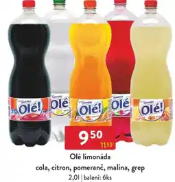 Qanto Olé limonáda cola, citron, pomeranč, malina, grep nabídka