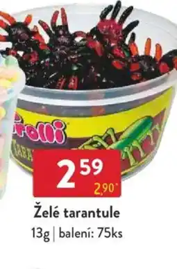 Qanto Želé tarantule nabídka