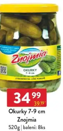 Qanto Okurky 7-9 cm Znojmia nabídka