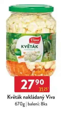 Qanto Květák nakládaný Viva nabídka