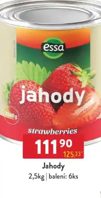 Qanto Essa Jahody nabídka