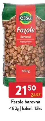 Qanto Essa Fazole barevná nabídka