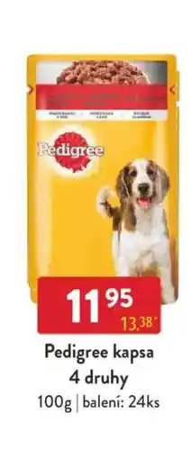 Qanto Pedigree kapsa nabídka