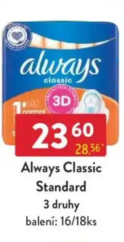 Qanto Always Classic Standard nabídka