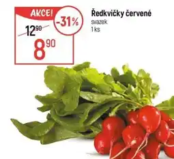 Globus Ředkvičky červené nabídka