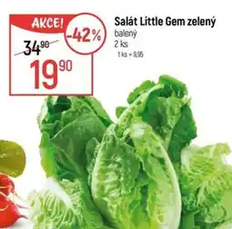 Globus Salát Little Gem zelený nabídka
