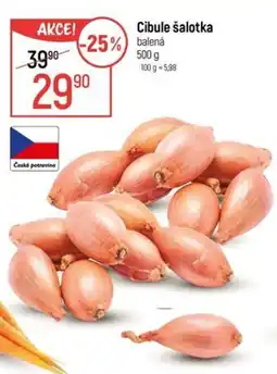 Globus Cibule šalotka nabídka