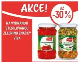 Globus NA VYBRANOU STERILOVANOU ZELENINU ZNAČKY VIVA nabídka