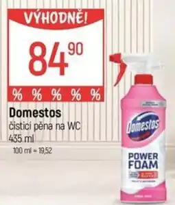 Globus Domestos čisticí pěna na WC nabídka