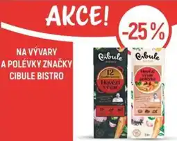 Globus NA VÝVARY A POLÉVKY ZNAČKY CIBULE BISTRO nabídka