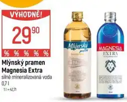 Globus Mlýnský pramen Magnesia Extra nabídka